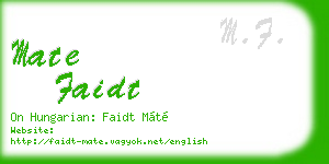 mate faidt business card